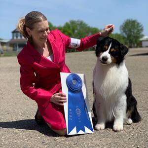 Meet your Posher, Donna